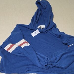 American Eagle Outfitters Blue Hooded Sweater with Striped Sleeve